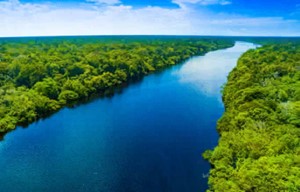 The most widely believed theory is that the Amazon River originates in the mountains of ____