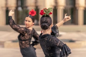 Flamenco dresses are said to have the shape of a ______