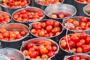 La Tomatina originated from a... fight in 1945 when a young boy started throwing vegetables on people