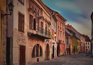 Sopron is a significant alcohol-producing region, one of a few in Hungary to make both red and white _____